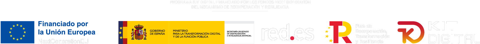 dafy_agencia_Kit_Digital_Madrid_Logo-digitalizadores-2024-1.png